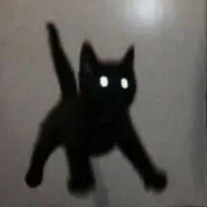 Meet your Posher, Mya